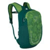 Osprey Kinderen Daylite Rugzak 2 Osprey Kinderen Daylite Rugzak -Klimrugzakken Verkoop iview 5037959 002 pic1