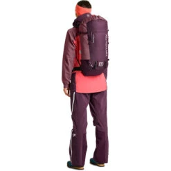 Ortovox Dames Peak Light 30 S Rugzak -Klimrugzakken Verkoop iview 5053051 002 pic3